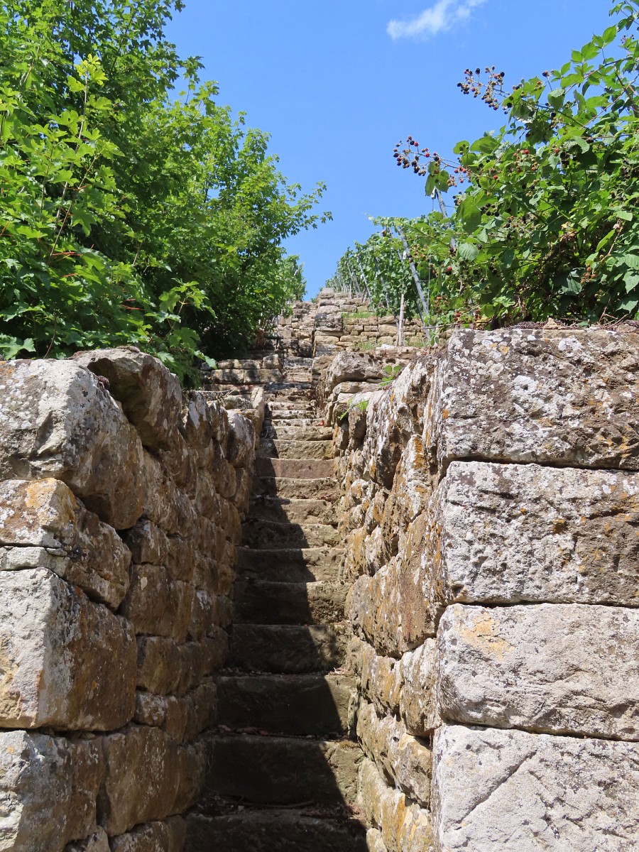 Steile Treppen in den Weinbergen