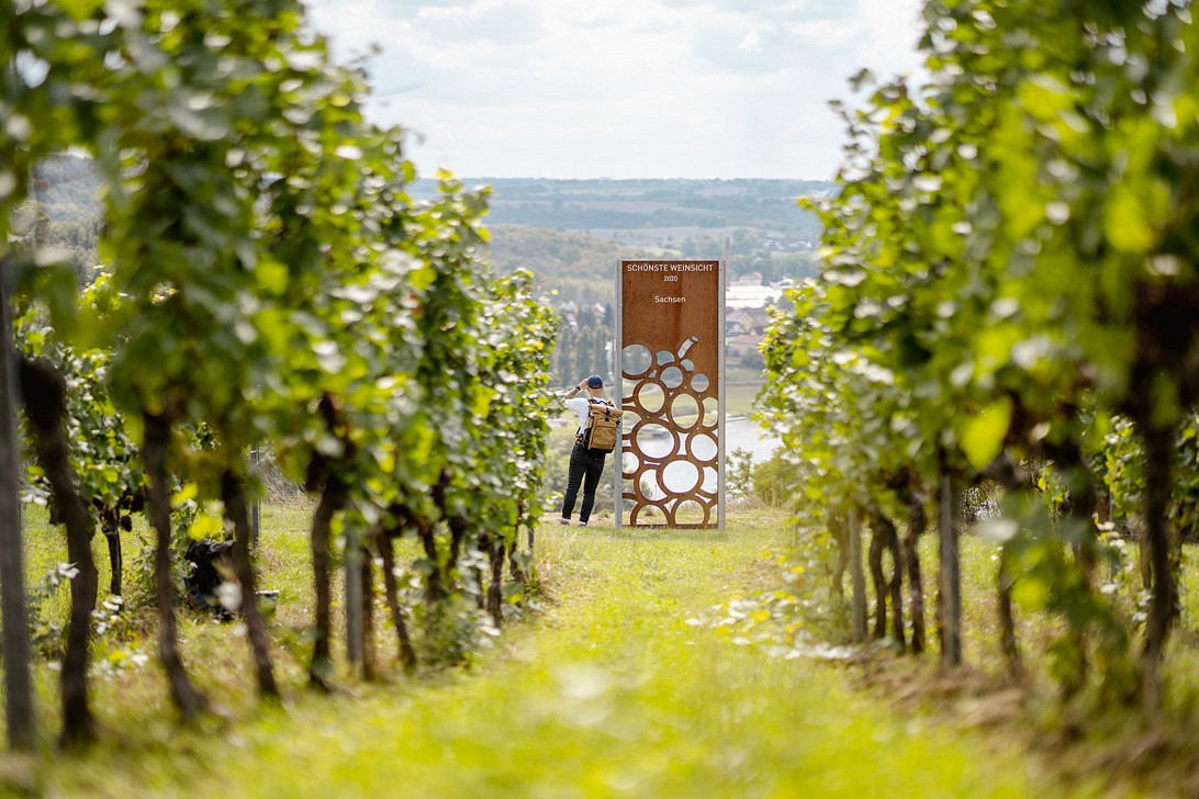 Die schönste Weinsicht 2020 bei Diesbar-Seußlitz © Sebastian Weingart