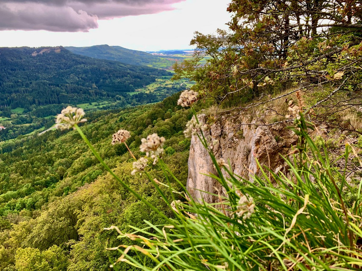 Imposante Landschaft auf dem Traufgang Felsenmeersteig © Andrea C. Bayer
