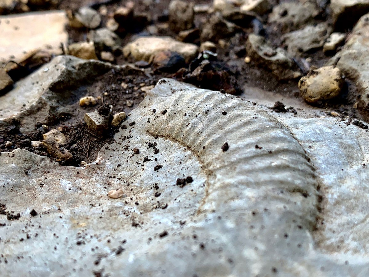 Steinreich: Felsen und Fossilien prägen die Wanderlandschaft der Schwäbischen Alb © Andrea C. Bayer