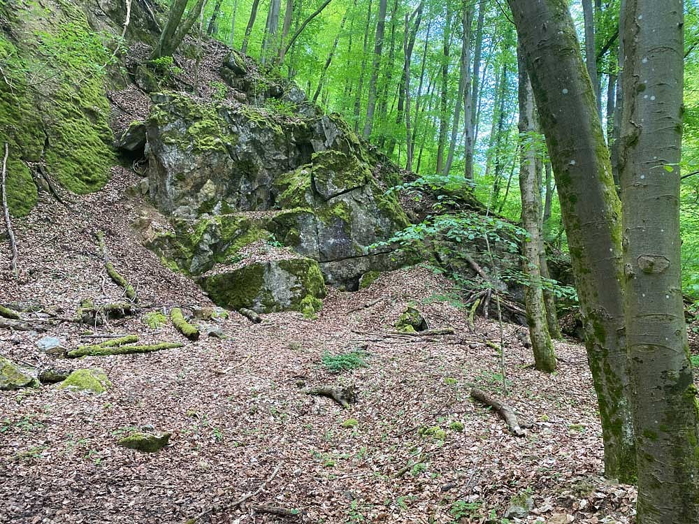 Felsformationen auf dem Karst- und Höhlenlehrpfad