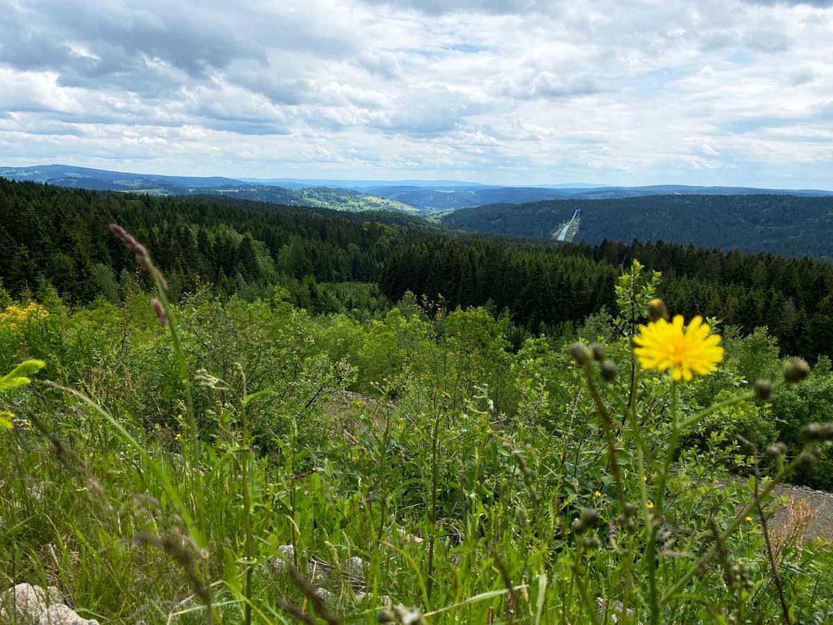 Aussicht von der Schauhalde