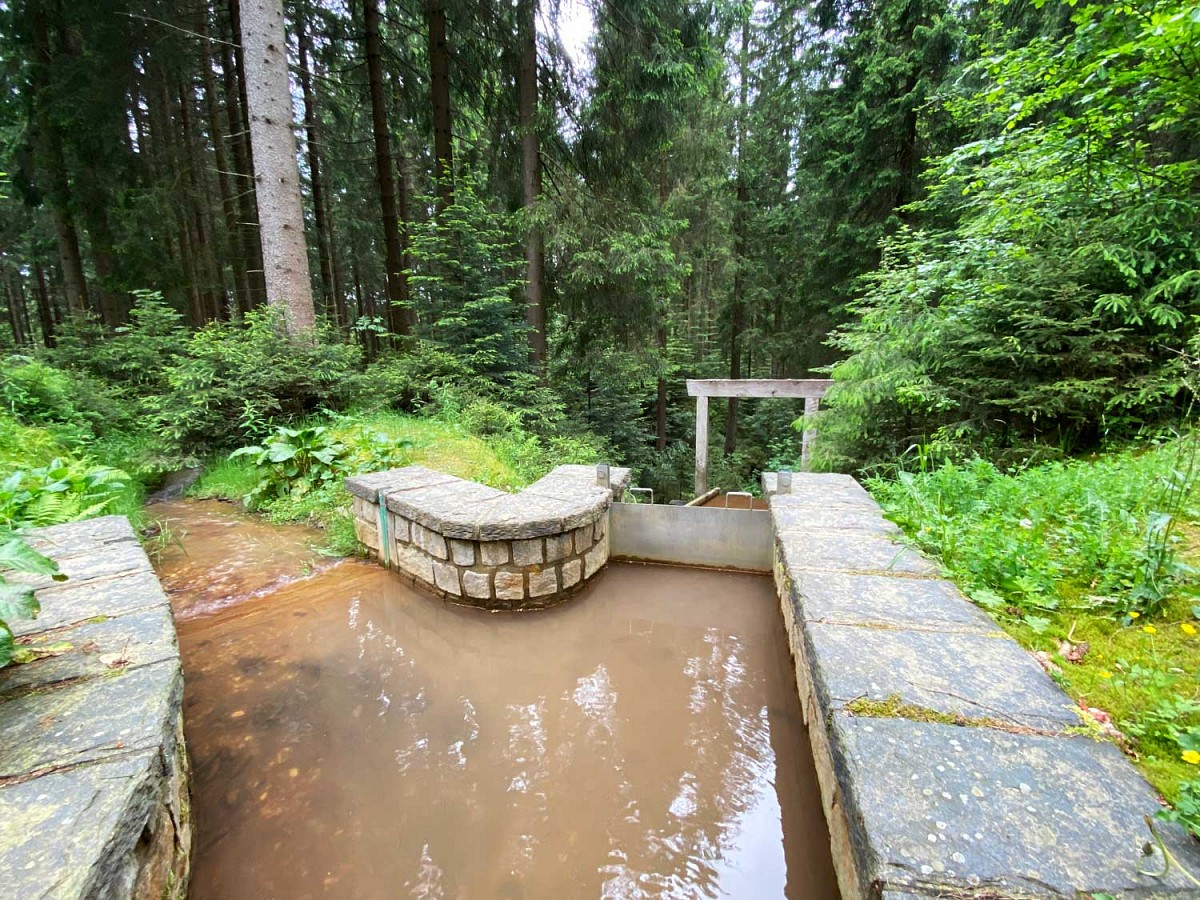 Historisches Floßgrabensystem am Wegesrand