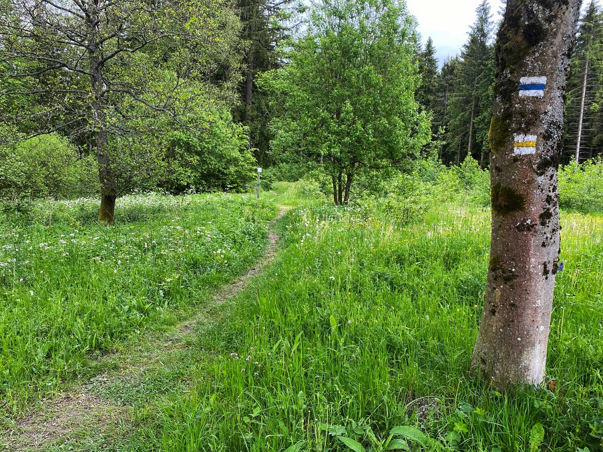 Die 13. Etappe des Kammwegs Erzgebirge-Vogtland, alle Fotos © Marieke Wist