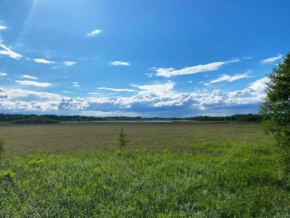 Ausblicke auf die weite Landschaft