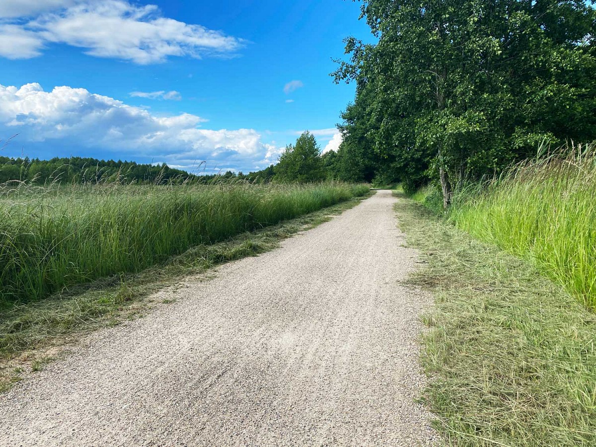 ...wechseln sich mit sandigen Pfaden ab