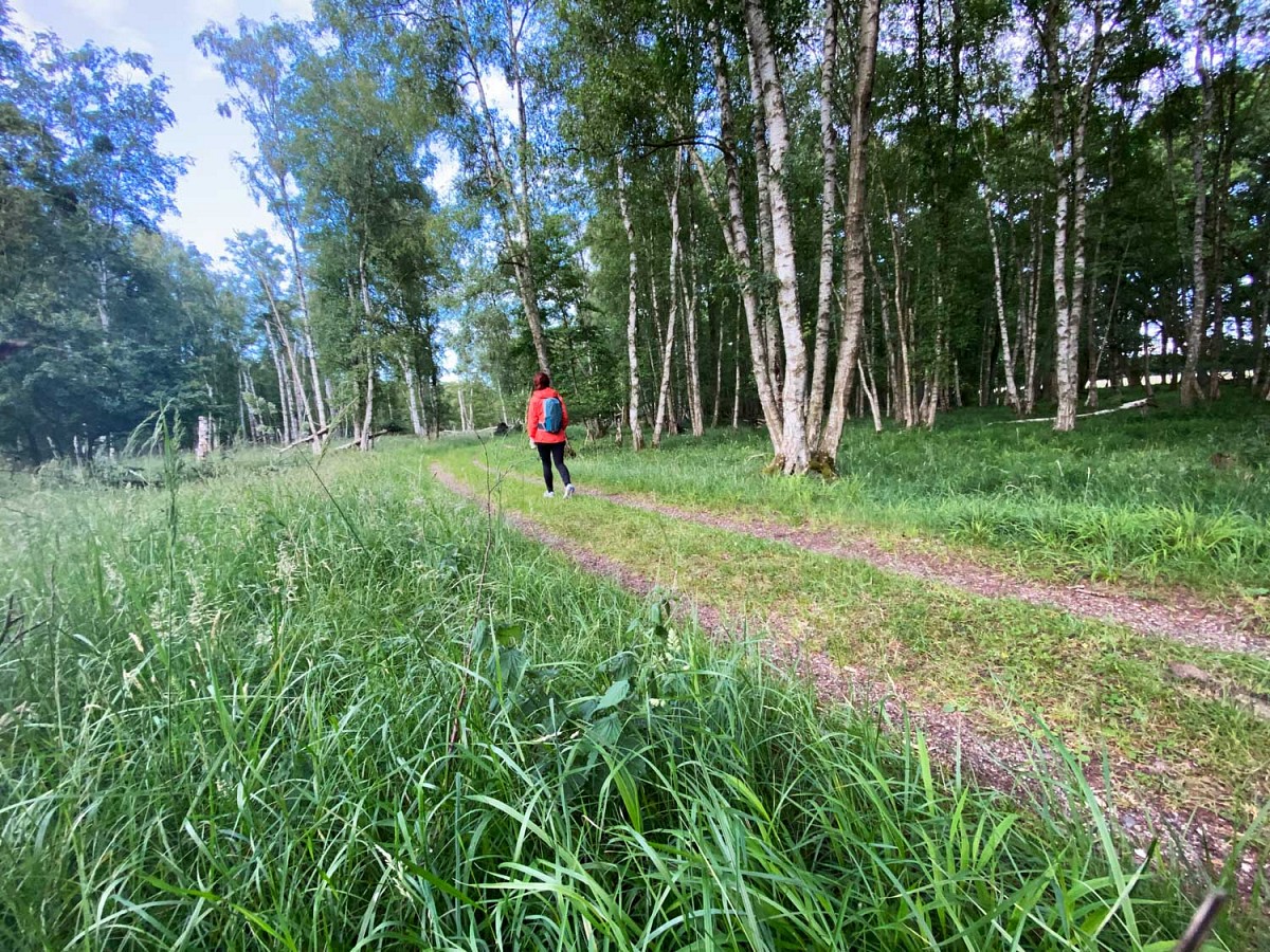 Zahlreiche ruhige Wanderwege im Nationalpark