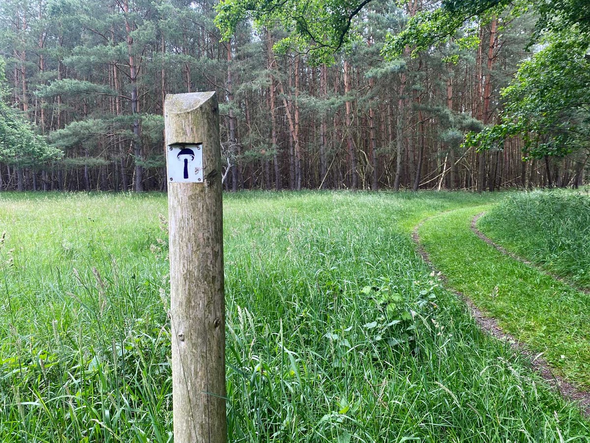 Wegkennzeichnungen durch Symbole, wie hier den Pilz 