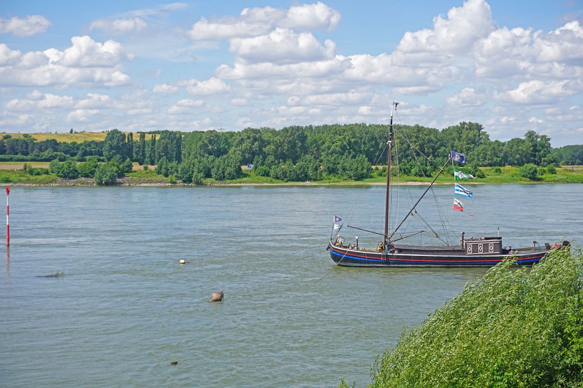 Und dabei begleitet immer der Rhein.