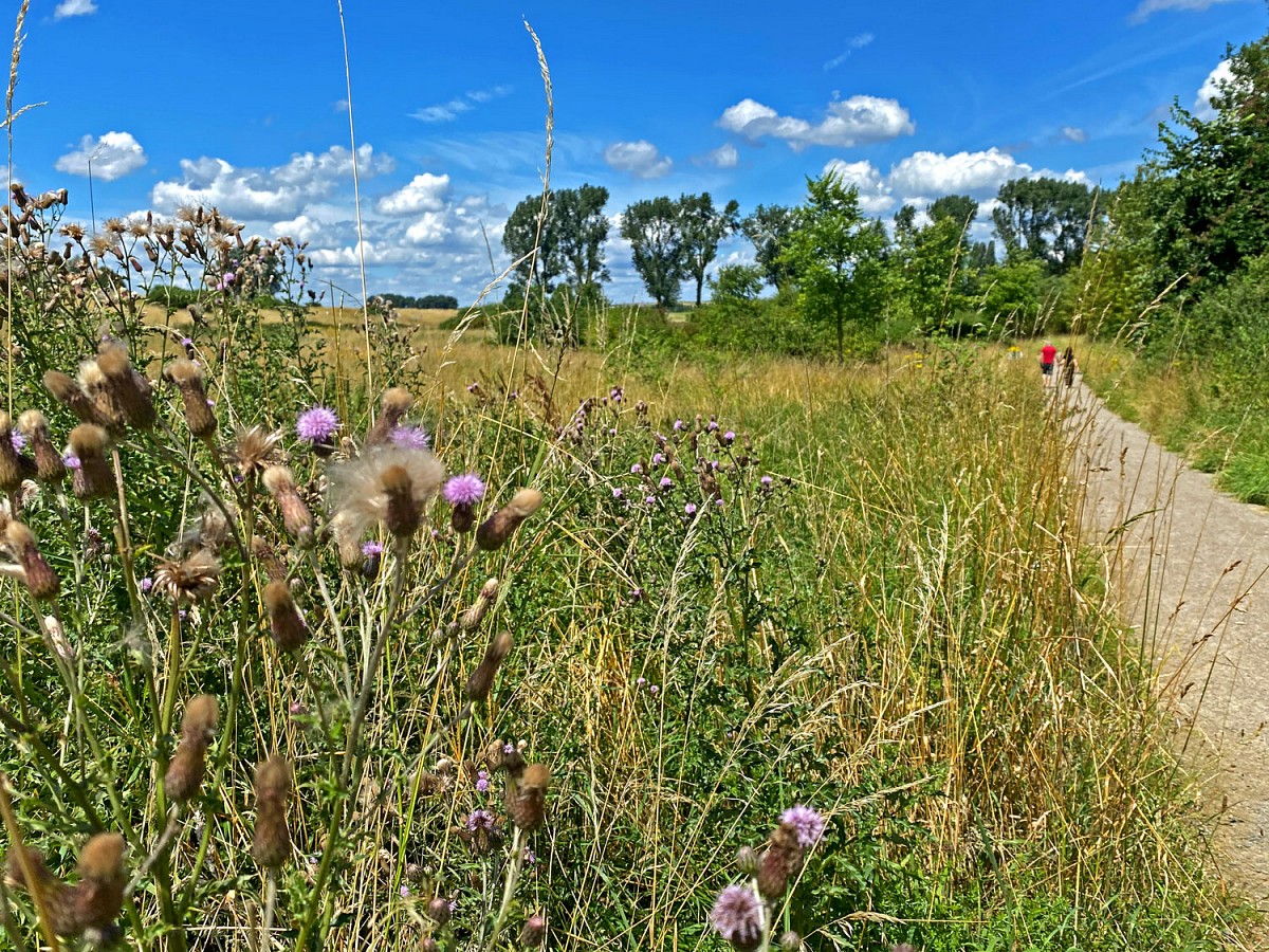 Monheim am Rhein bietet eine schöne Mischung aus Naturerlebnis und ...