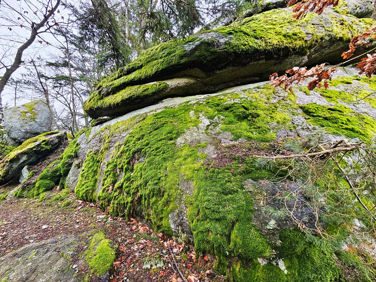 Zwischen Felsen hindurch geht es auf den Semmelberg 