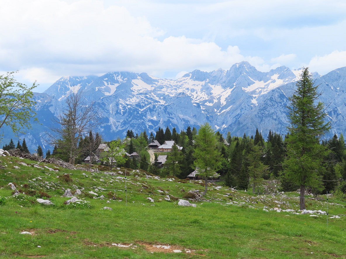 Tour 1: Grandioser Ausblick auf die Steiner Alpen und die Hirtensiedlung Velina planina Alle Fotos © Thomas Müller