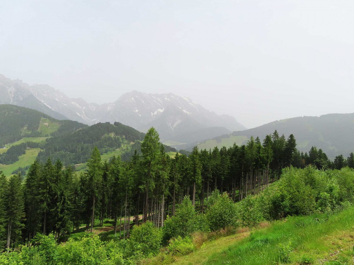 Berge im Dunst (Tour 1)