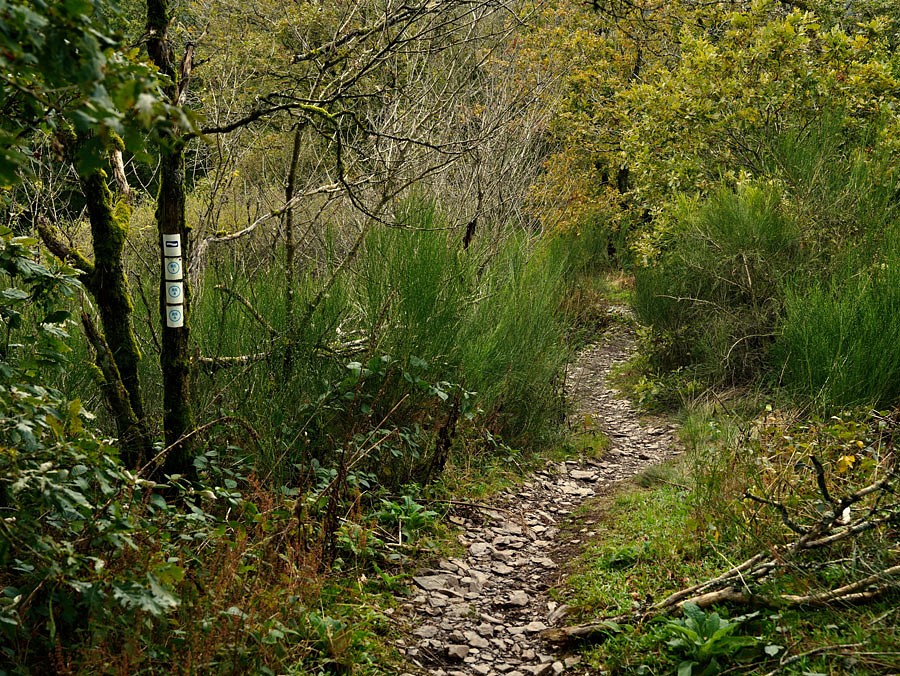 Willkommen auf dem Escarpardennen Lee Trail