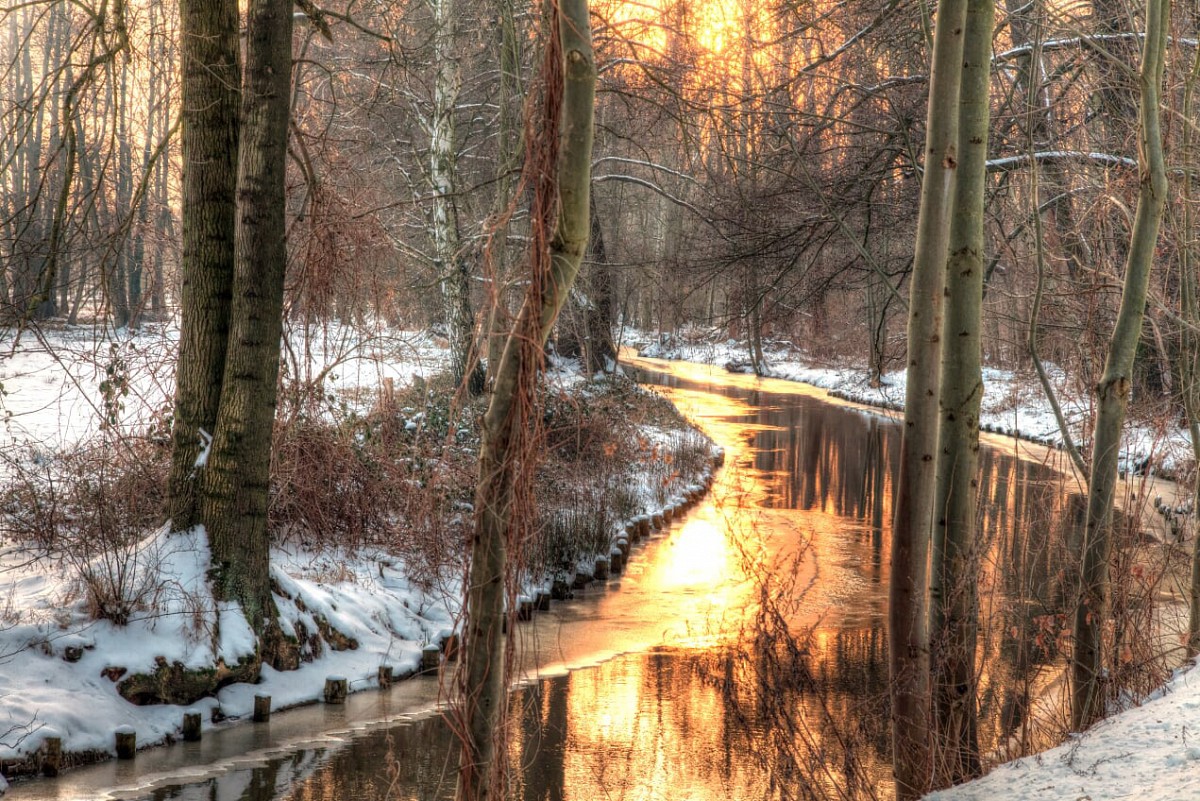 Winteridylle bei Burg im Spreewald © Amt Burg (Spreewald), Peter Becker