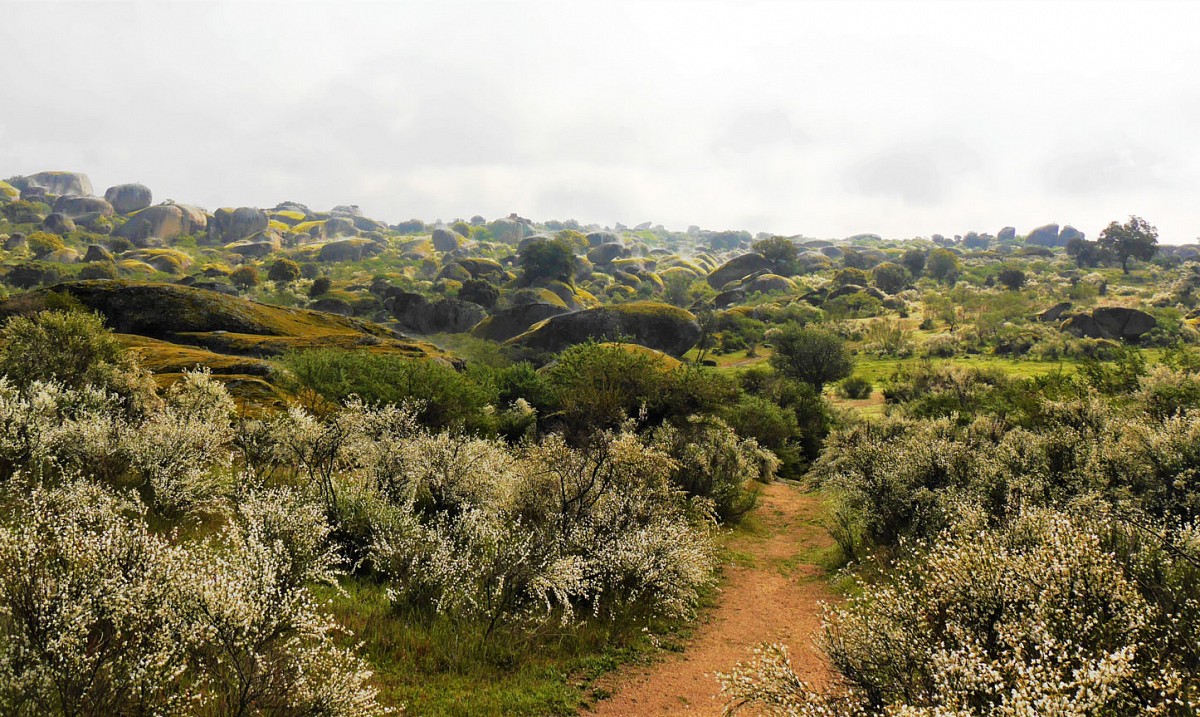 Traumlandschaft in der Extremadura