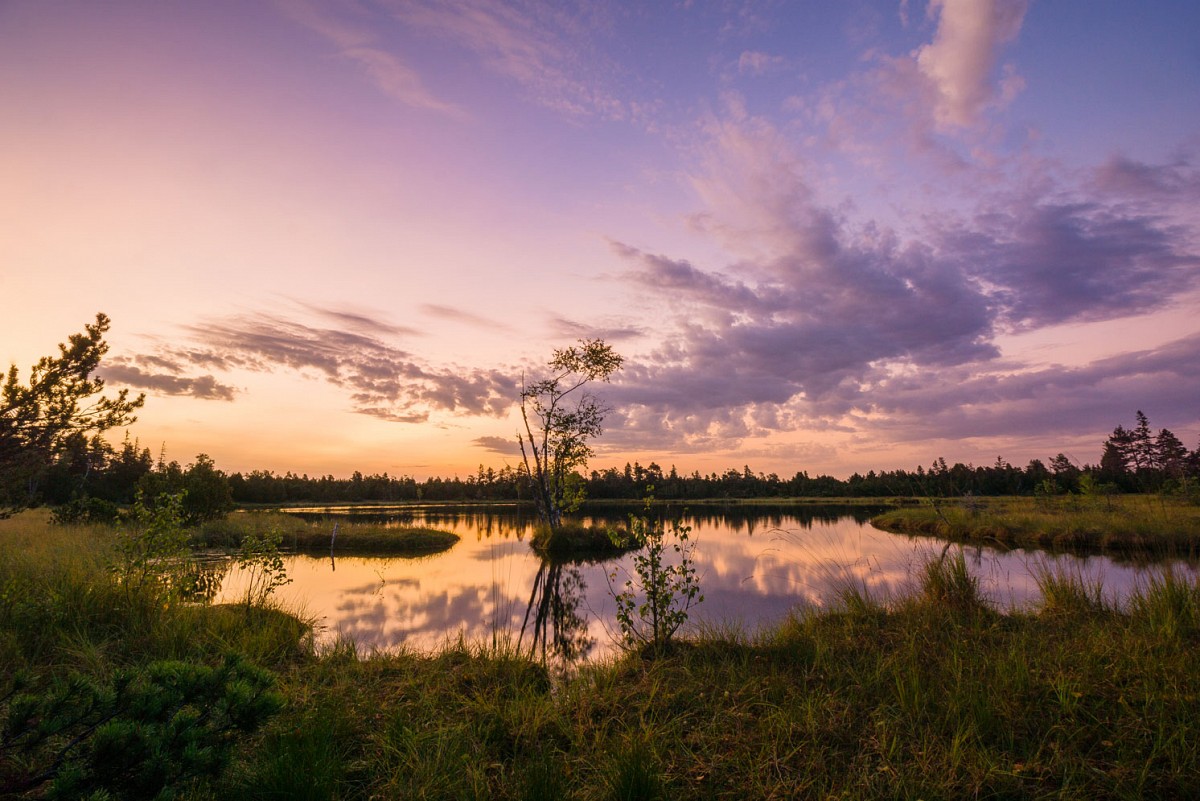 Die Dämmerung hüllt den Wildsee auf dem Kaltenbronn in sinnliches Licht. © Alex Kijak