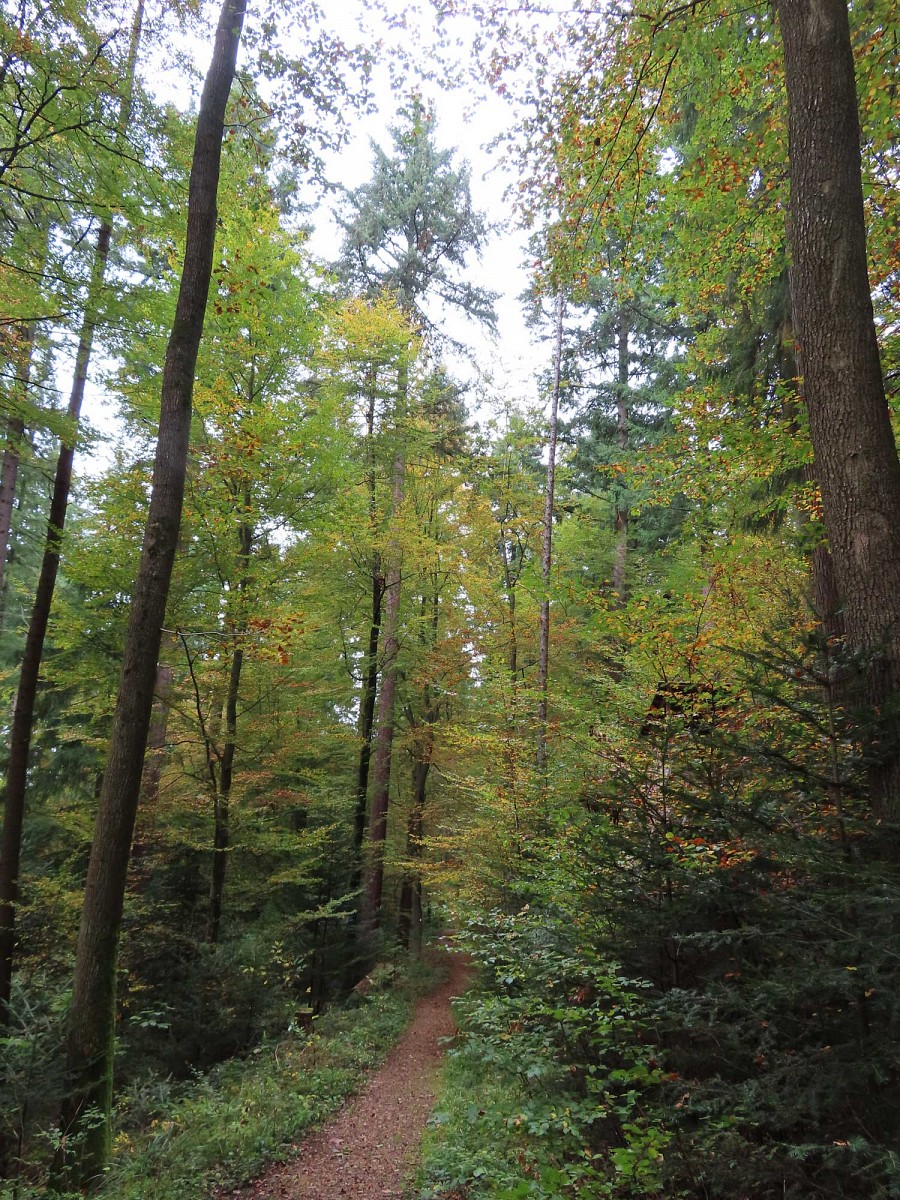 Florianrundweg © Thomas Müller 