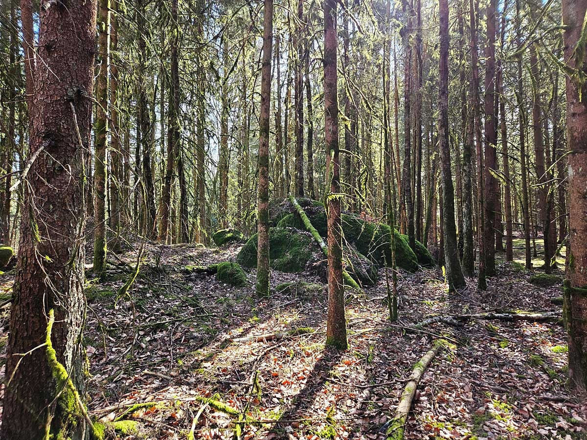 Überall finden sich die typischen Granitfelsen © Anja Pfeffer