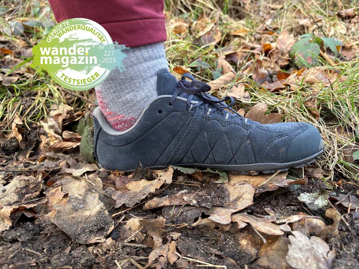 Testsieger in Gruppe 'low': Meindl Pure Comfort 3