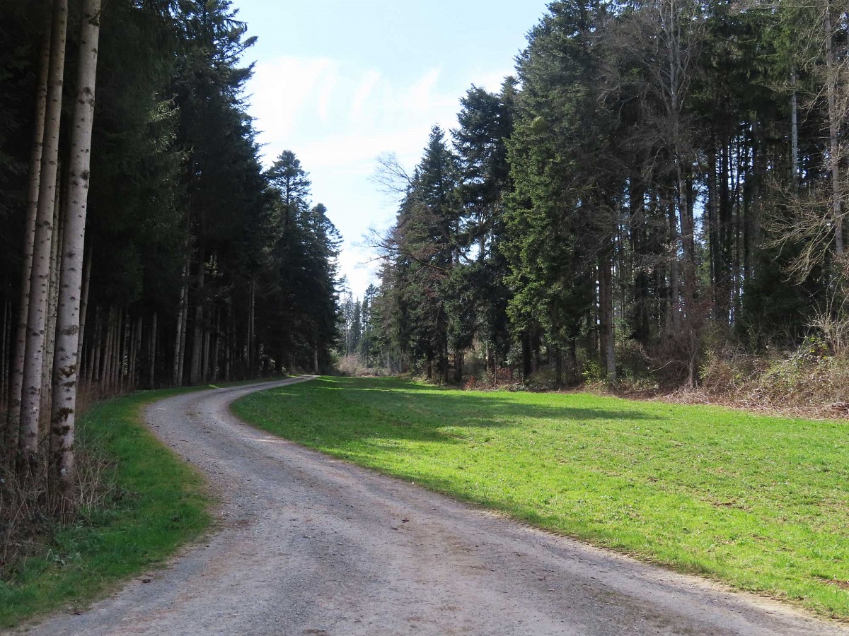 Der Weg ist das Ziel © Thomas Müller