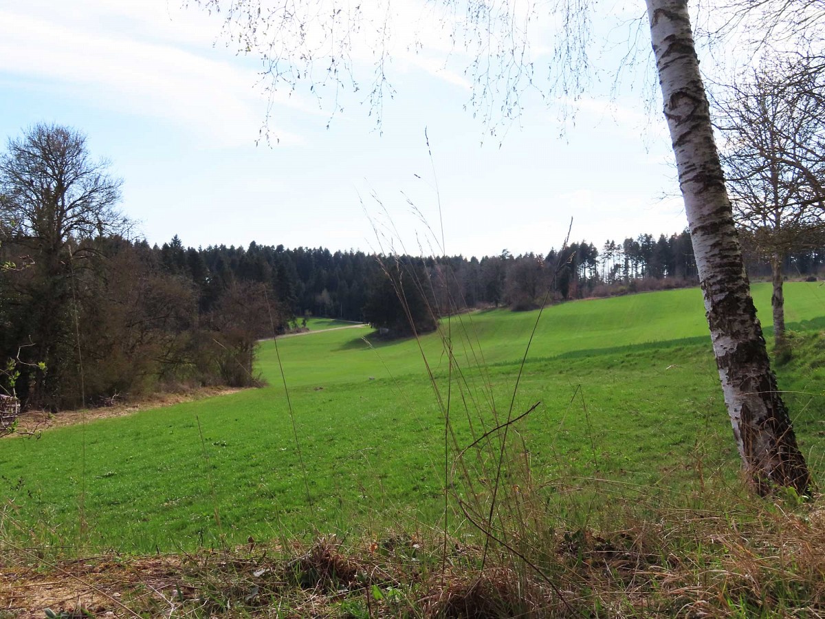 Idylle pur © Thomas Müller