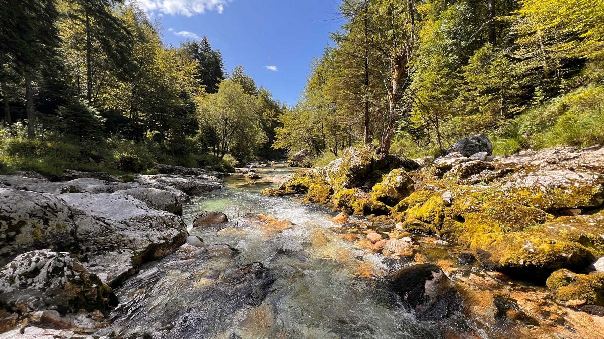 Mostnica Schlucht