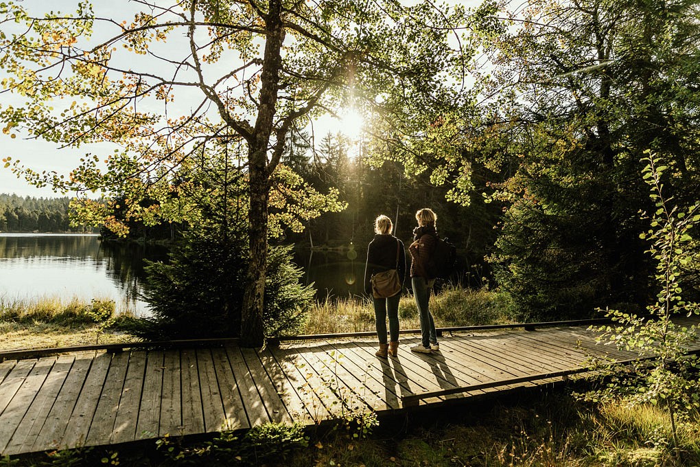 Morgenstimmung am Etang de la Gruère © Schweiz Tourismus, Giglio Pasqua