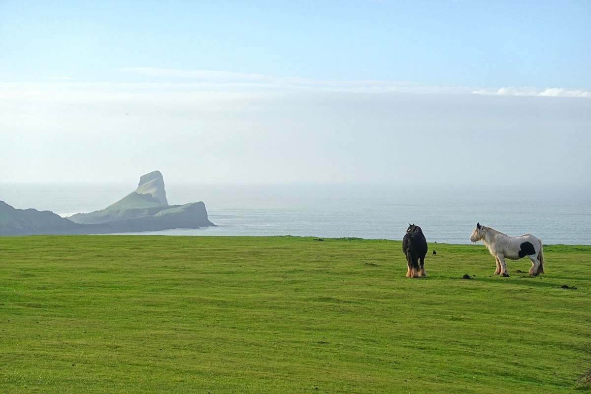 Die Landspitze Worms Head ist zeitweise von den Gezeiten abgeschnitten. Alle Fotos © Sarah Flory