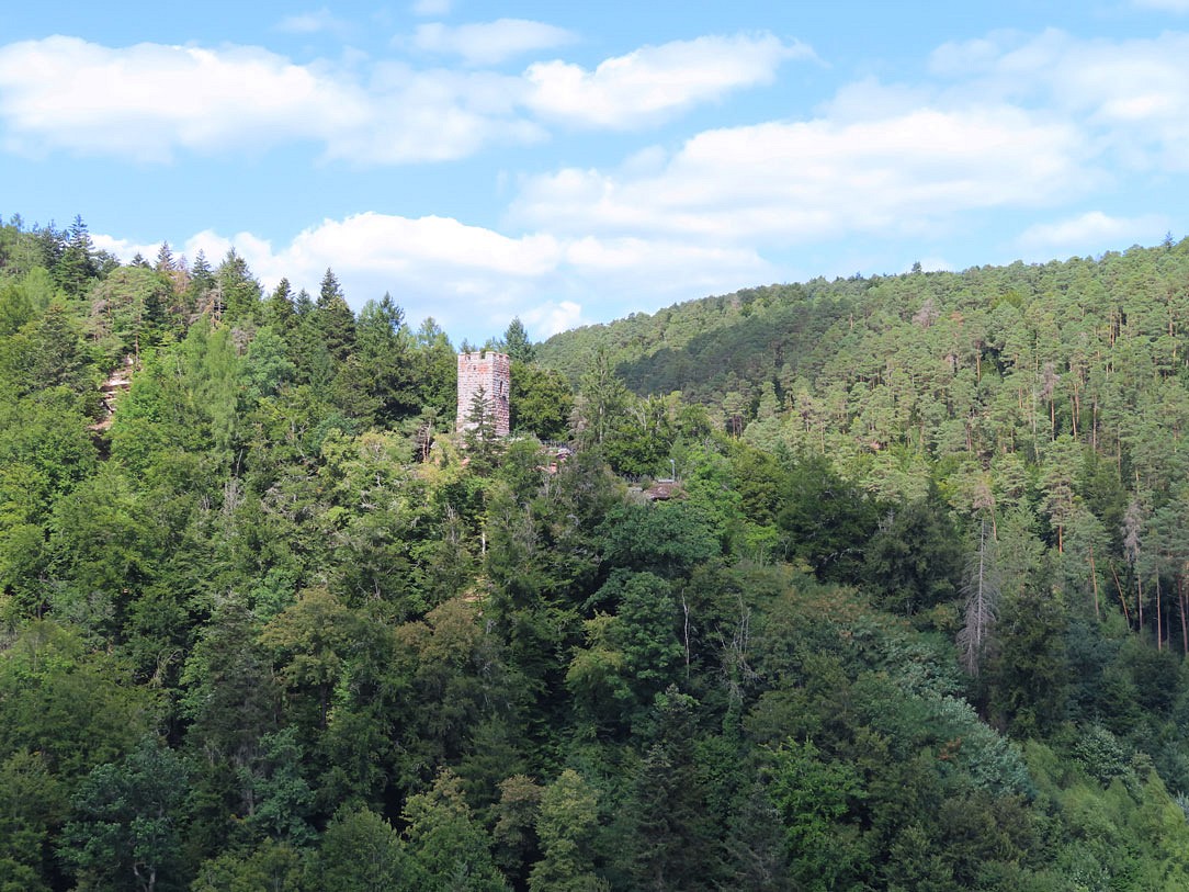 Burg Erfenstein