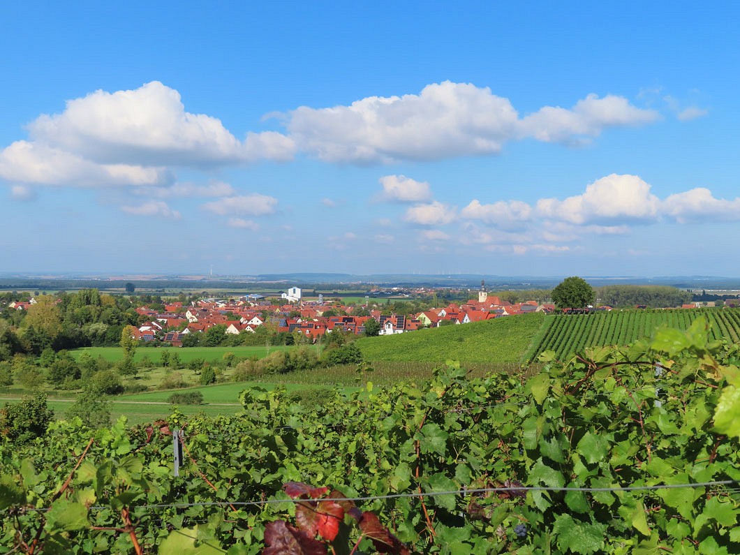 Blick auf Wiesenbronn