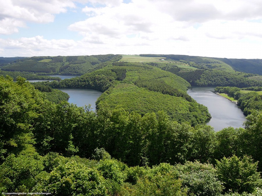 Ausblick auf den Stausee inmitten des Naturparks der Obersauer