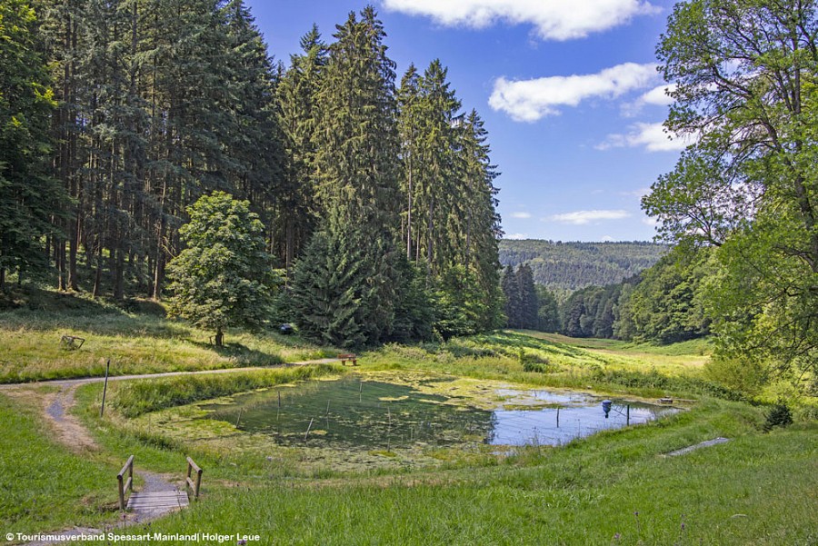 Blick ins Haseltal bei Bad Orb