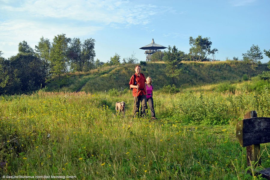 Wanderer auf dem Weg