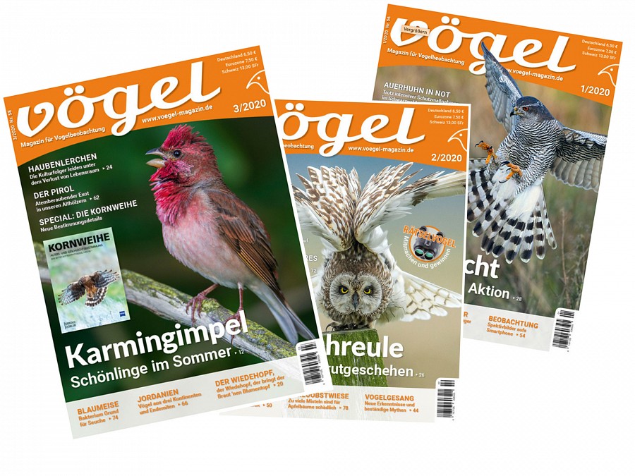 Fachmagazin VÖGEL