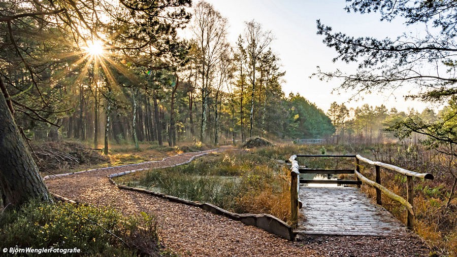 Blick auf das Moor