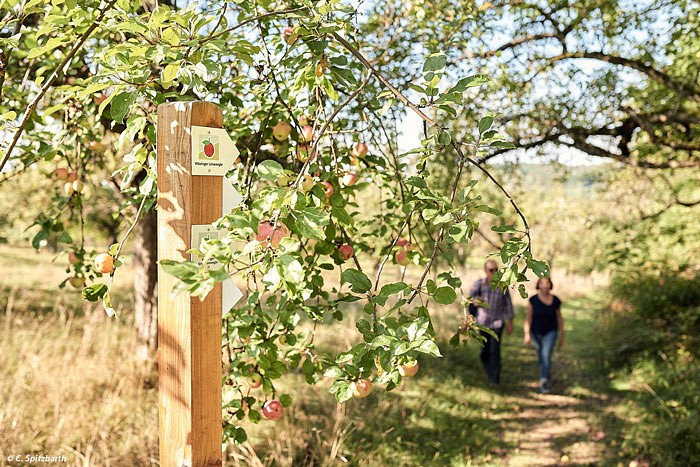 Früchtetrauf Wanderwege