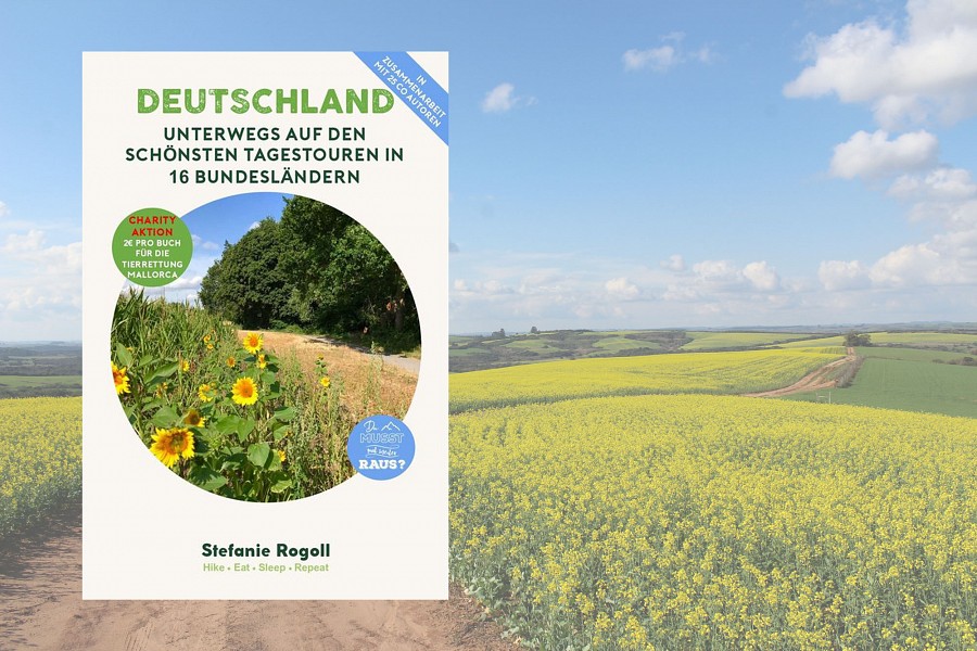 Titelbild des Buches