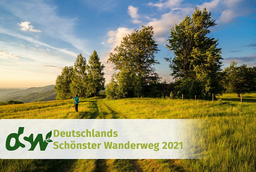 Wiesenweg mit dem Logo zur Wahl