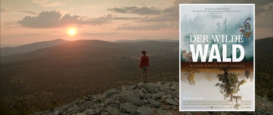 Dokumentationsfilm Wilder Wald