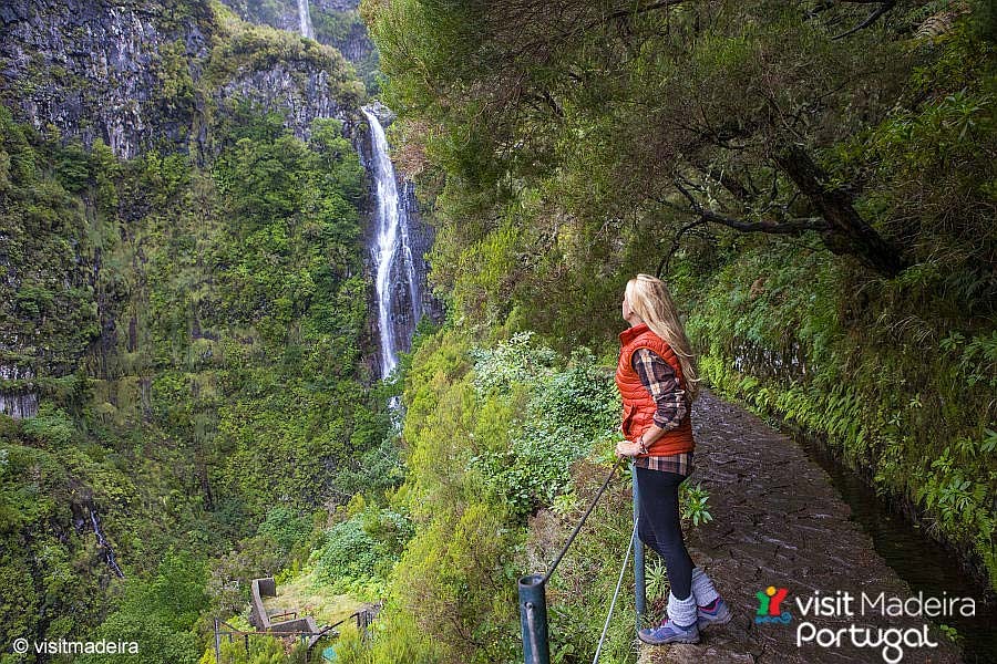 Lorbeerwälder auf Madeira