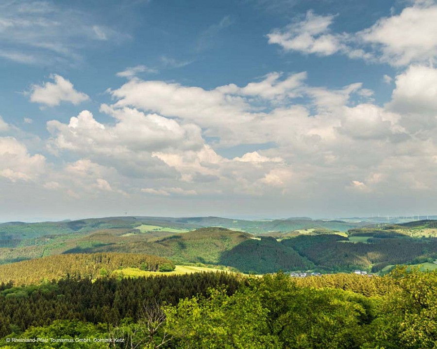 Aussicht vom Kaiser-Wilhelm-Turm in der Eifel