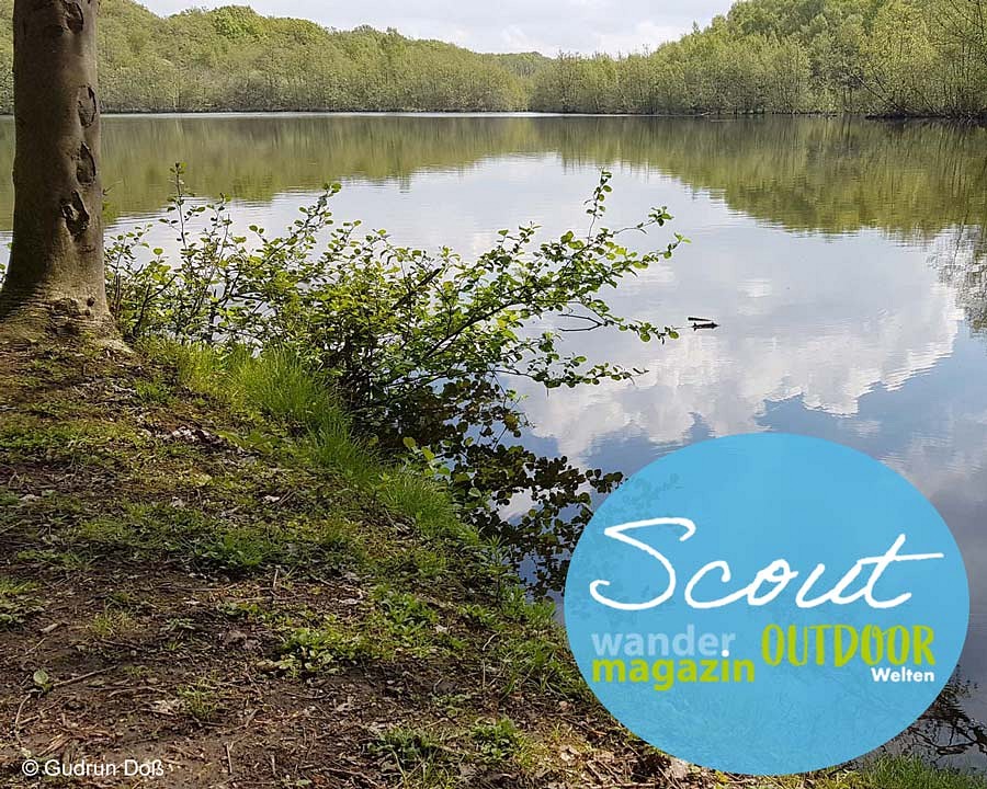 Teich an der Holtmühle
