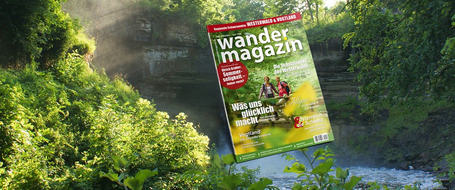 Das Cover der Sommerausgabe