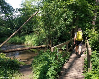 Durch das Brexbachtal im Westerwald