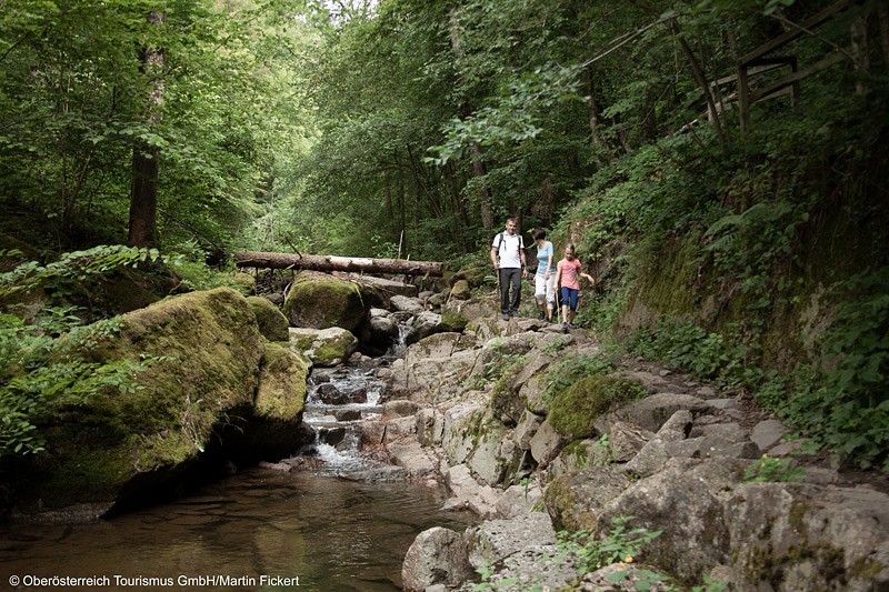 Pesenbachtal, Oberösterreich