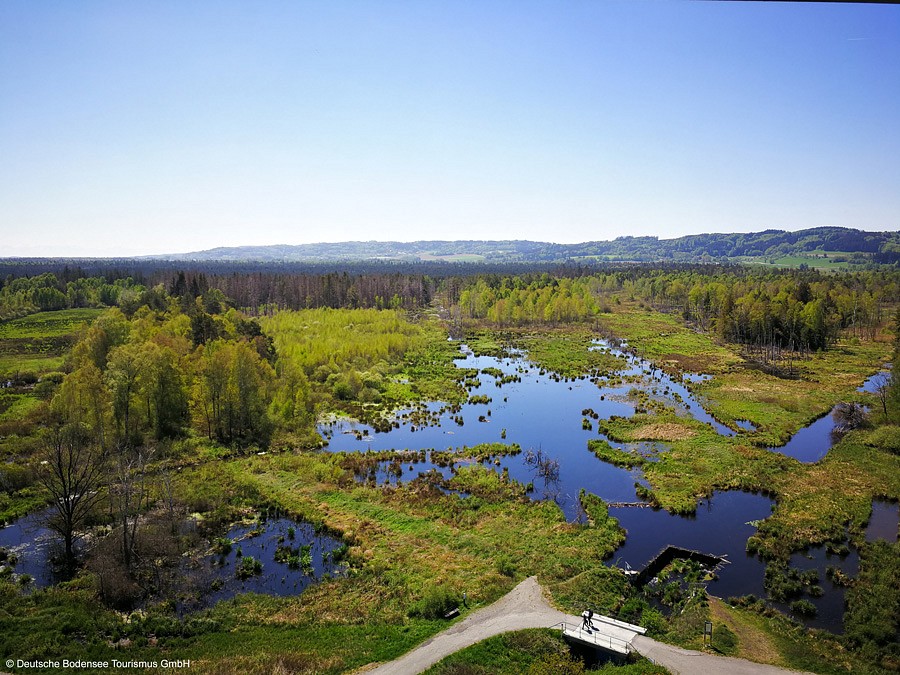 Moorlandschaft im Pfrunger-Burgweiler Ried