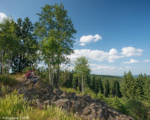 Blick von den Trödelsteinen, Burbach