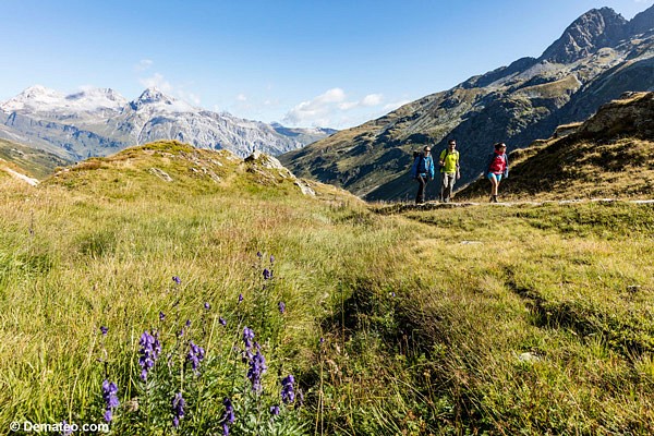 viaSpluga, Schweiz