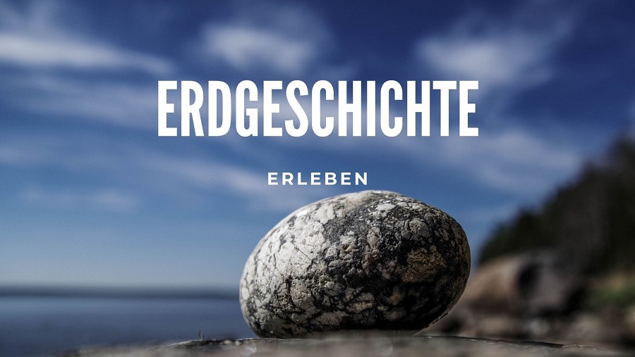 Erdgeschichte erleben, Nahaufnahme eines Steines
